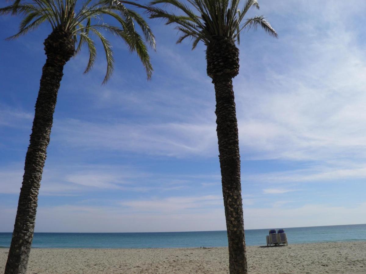 Suitur Milenium Playa Venus Apartamento Marbella